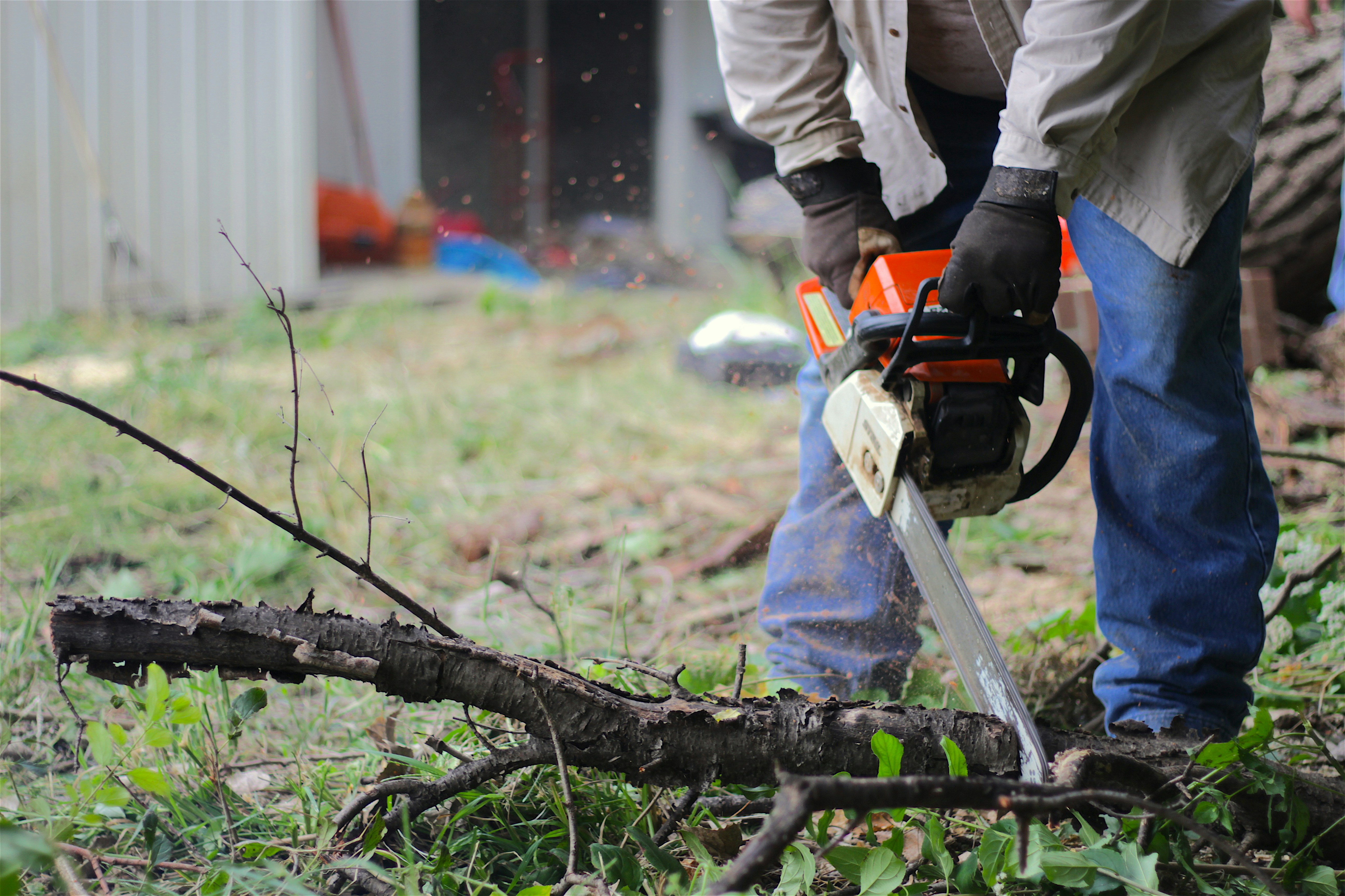 Tree felling – TG Handyman